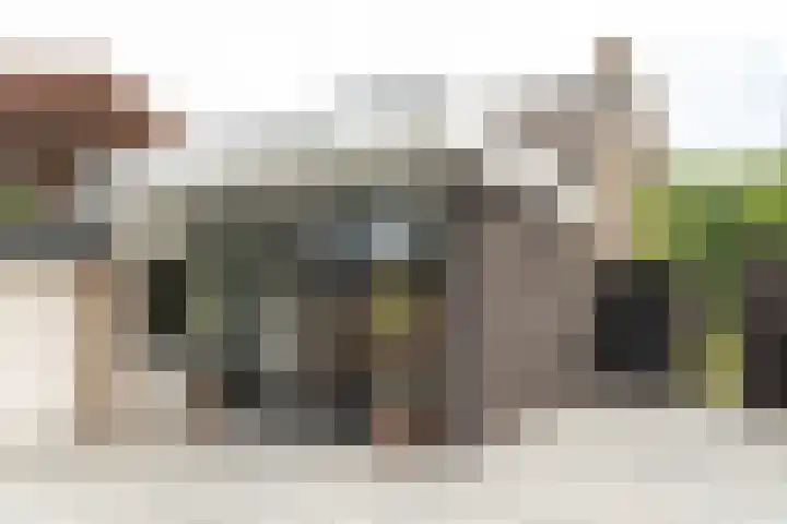 Buorren 69 Rottevalle thumbnail 22