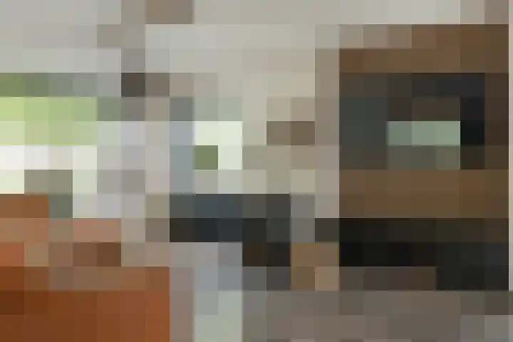 Buorren 69 Rottevalle thumbnail 27