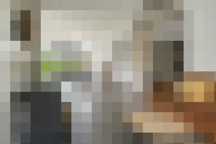 Buorren 69 Rottevalle thumbnail 28