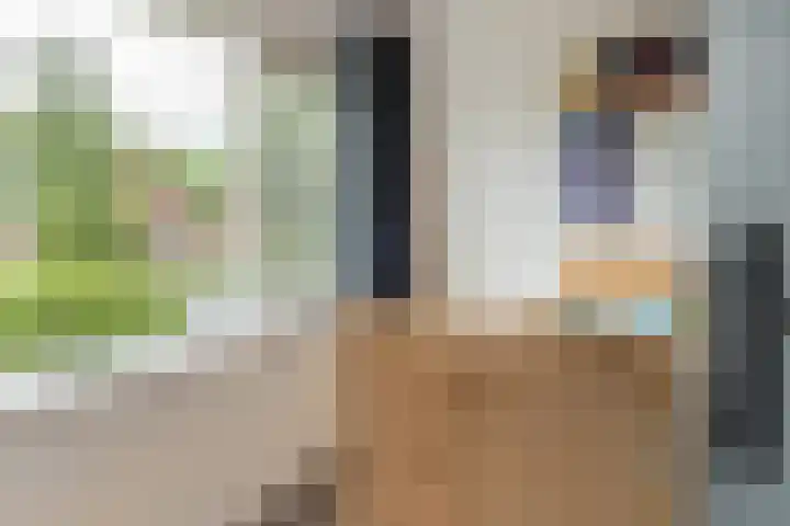 Buorren 69 Rottevalle thumbnail 39