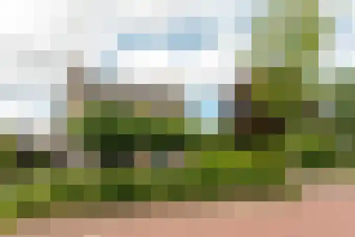 Buorren 69 Rottevalle thumbnail 4