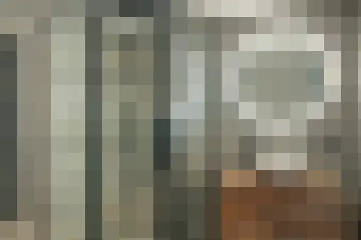 Buorren 69 Rottevalle thumbnail 42