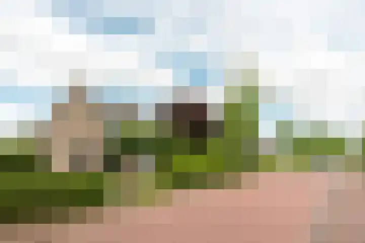Buorren 69 Rottevalle thumbnail 6