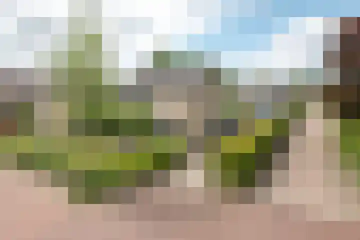 Buorren 69 Rottevalle thumbnail 7