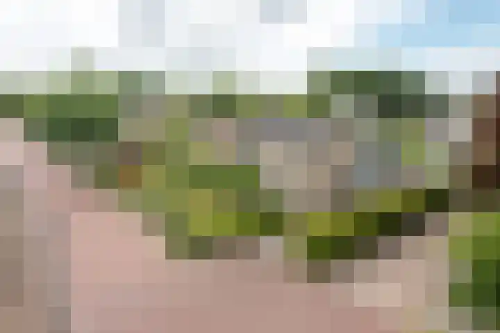 Buorren 69 Rottevalle thumbnail 8
