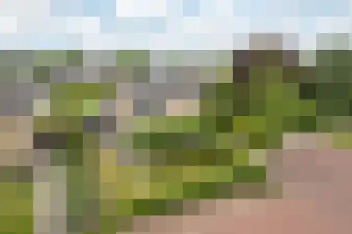 Buorren 69 Rottevalle thumbnail 9