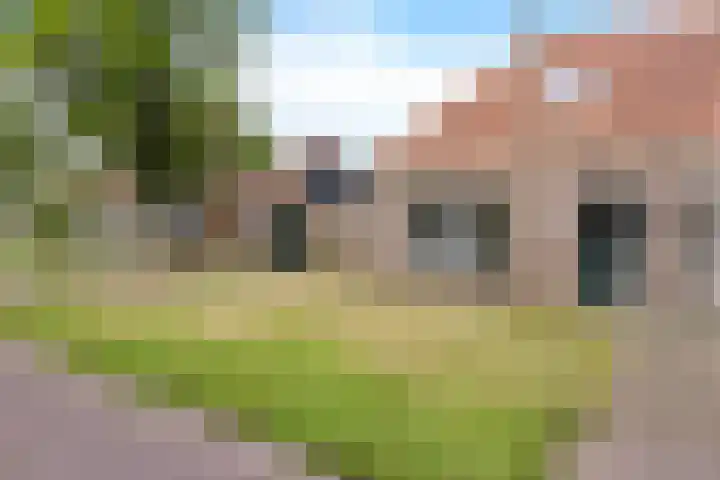 Buorren 7 Elahuizen