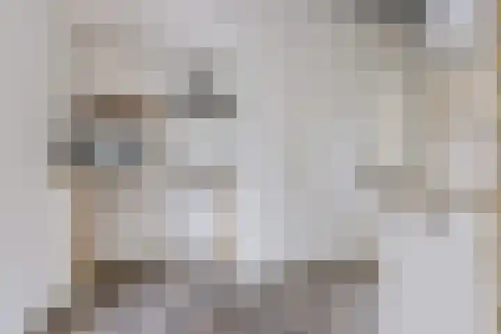 Buorren 7 Elahuizen thumbnail 10