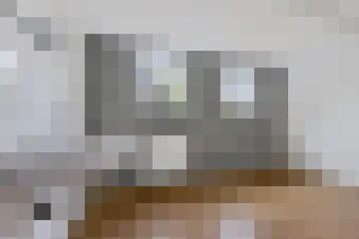 Buorren 7 Elahuizen thumbnail 11