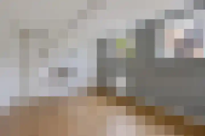 Buorren 7 Elahuizen thumbnail 12