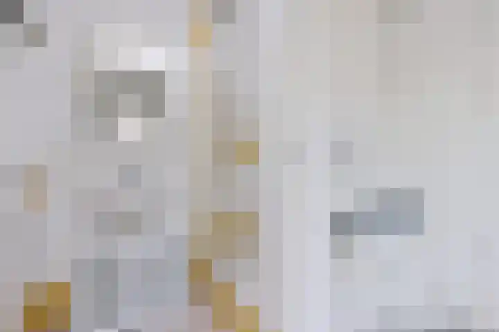 Buorren 7 Elahuizen thumbnail 15