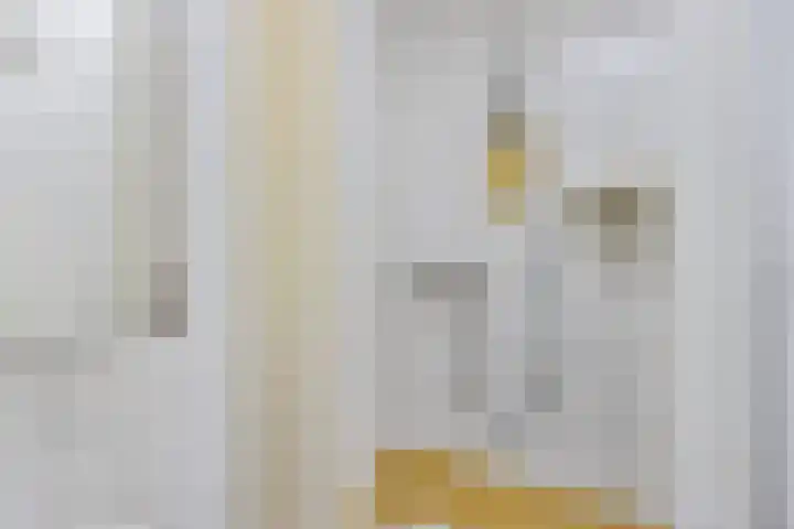 Buorren 7 Elahuizen thumbnail 16