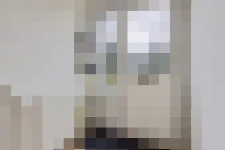 Buorren 7 Elahuizen thumbnail 18