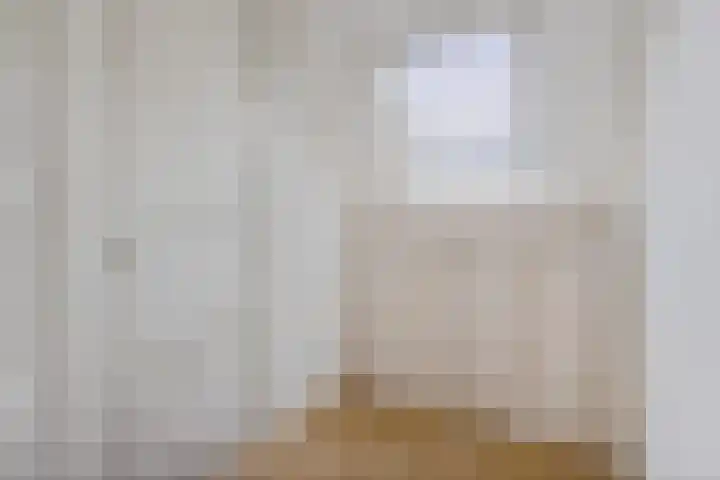 Buorren 7 Elahuizen thumbnail 20
