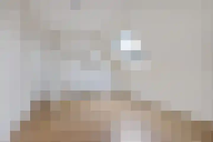 Buorren 7 Elahuizen thumbnail 25