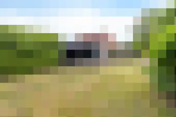 Buorren 7 Elahuizen thumbnail 27