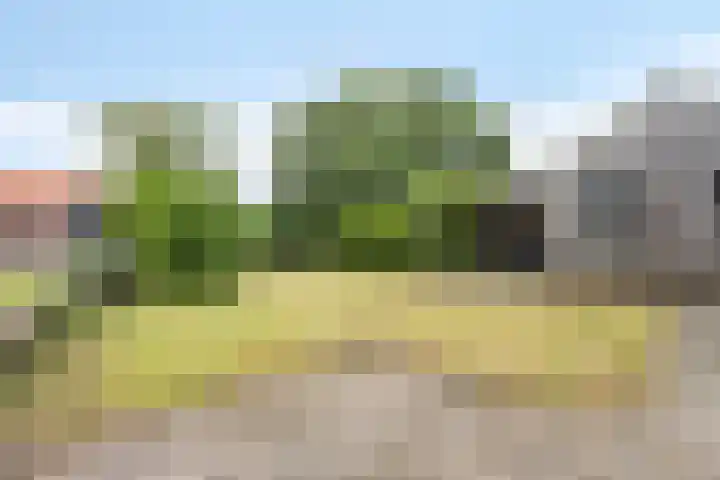 Buorren 7 Elahuizen thumbnail 28
