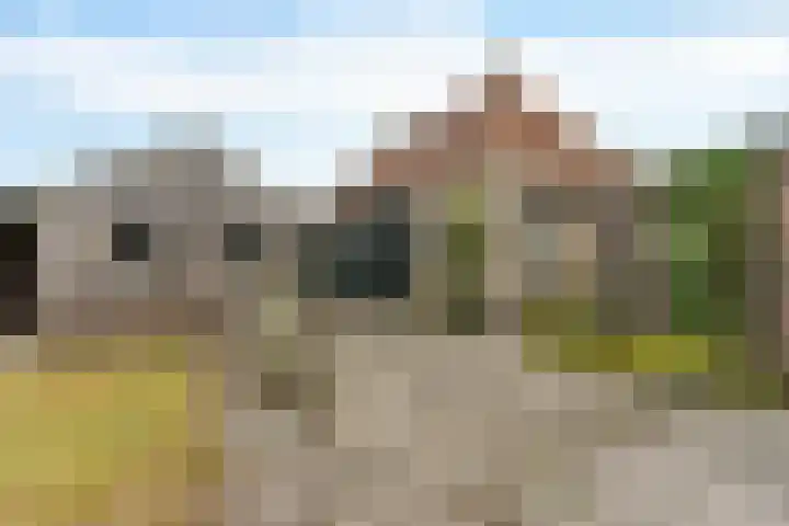 Buorren 7 Elahuizen thumbnail 29