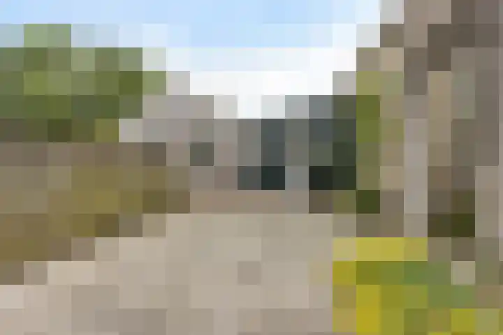Buorren 7 Elahuizen thumbnail 30