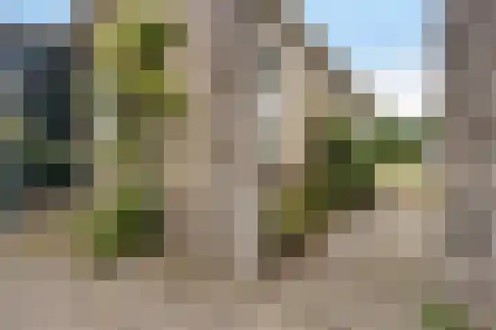 Buorren 7 Elahuizen thumbnail 31