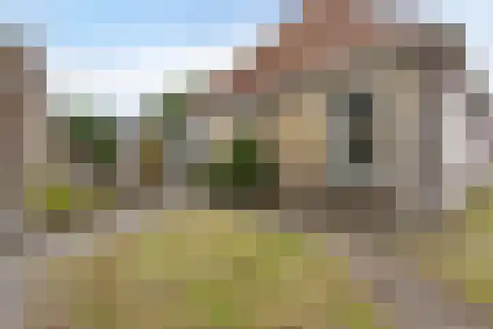 Buorren 7 Elahuizen thumbnail 32