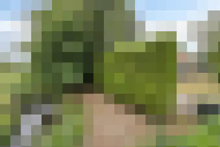 Buorren 7 Elahuizen thumbnail 33