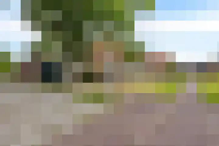 Buorren 7 Elahuizen thumbnail 36