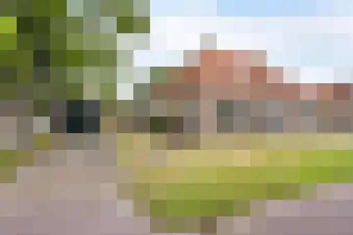 Buorren 7 Elahuizen thumbnail 37