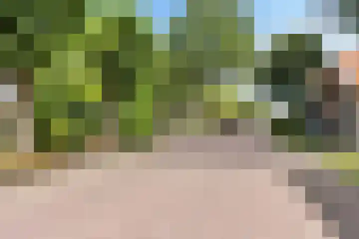Buorren 7 Elahuizen thumbnail 38