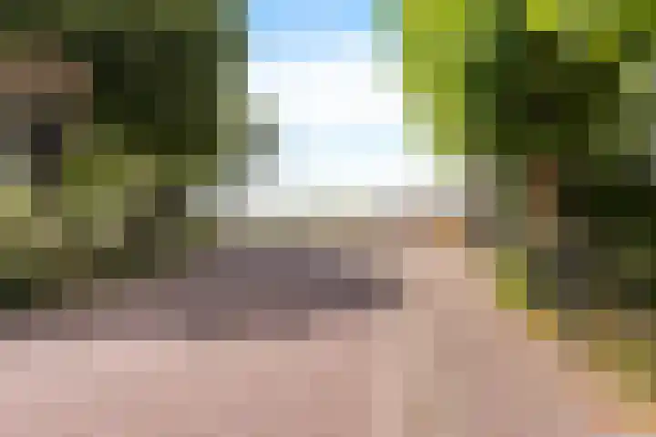 Buorren 7 Elahuizen thumbnail 39