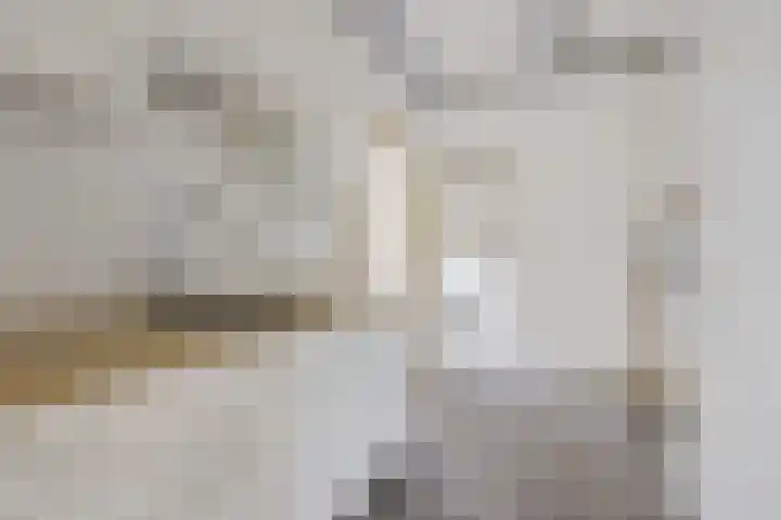 Buorren 7 Elahuizen thumbnail 8