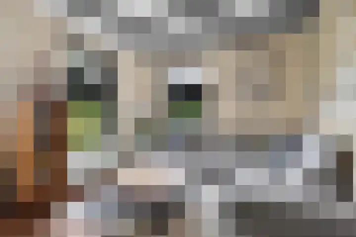 Buorren 7 Terherne thumbnail 16