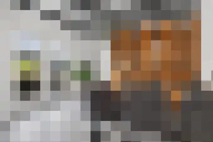Buorren 7 Terherne thumbnail 20