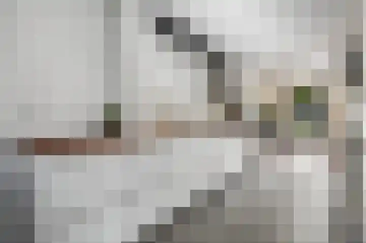 Buorren 7 Terherne thumbnail 21
