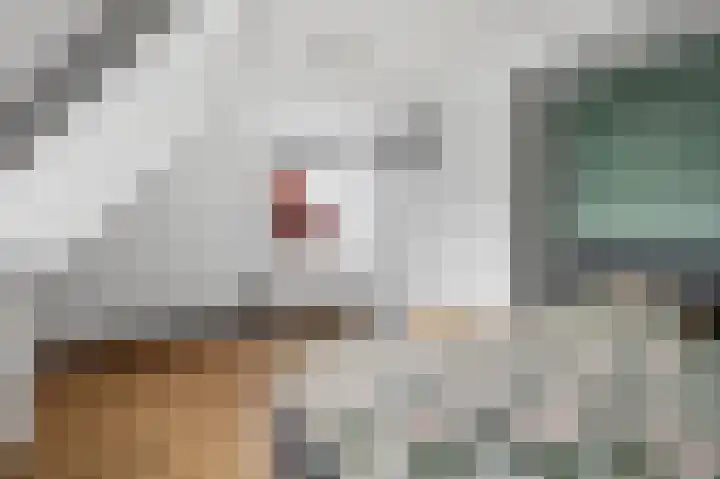 Buorren 7 Terherne thumbnail 28