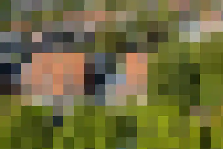 Buorren 7 Terherne thumbnail 36