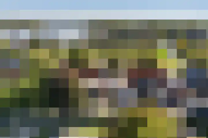 Buorren 7 Terherne thumbnail 38
