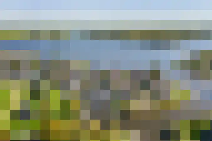 Buorren 7 Terherne thumbnail 39