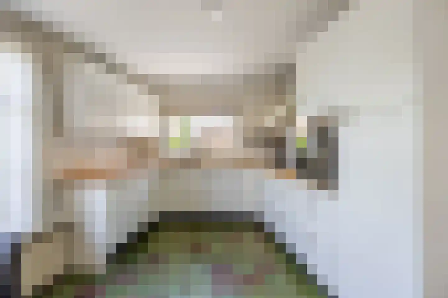 Buorren 70 Tzummarum thumbnail 20