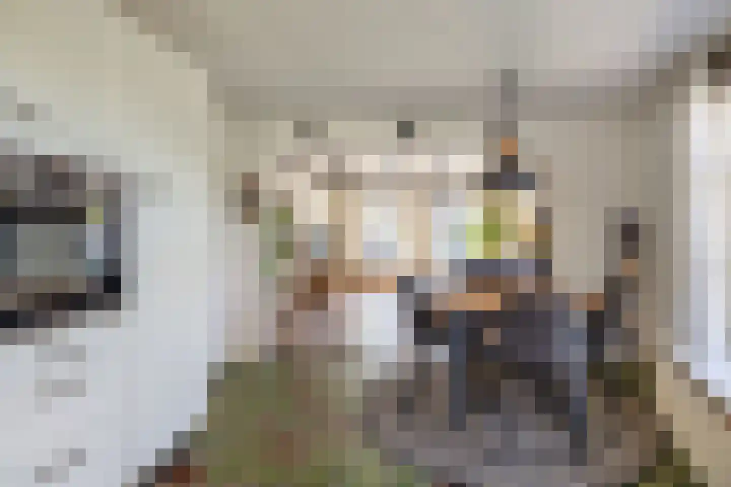 Buorren 70 Tzummarum thumbnail 22