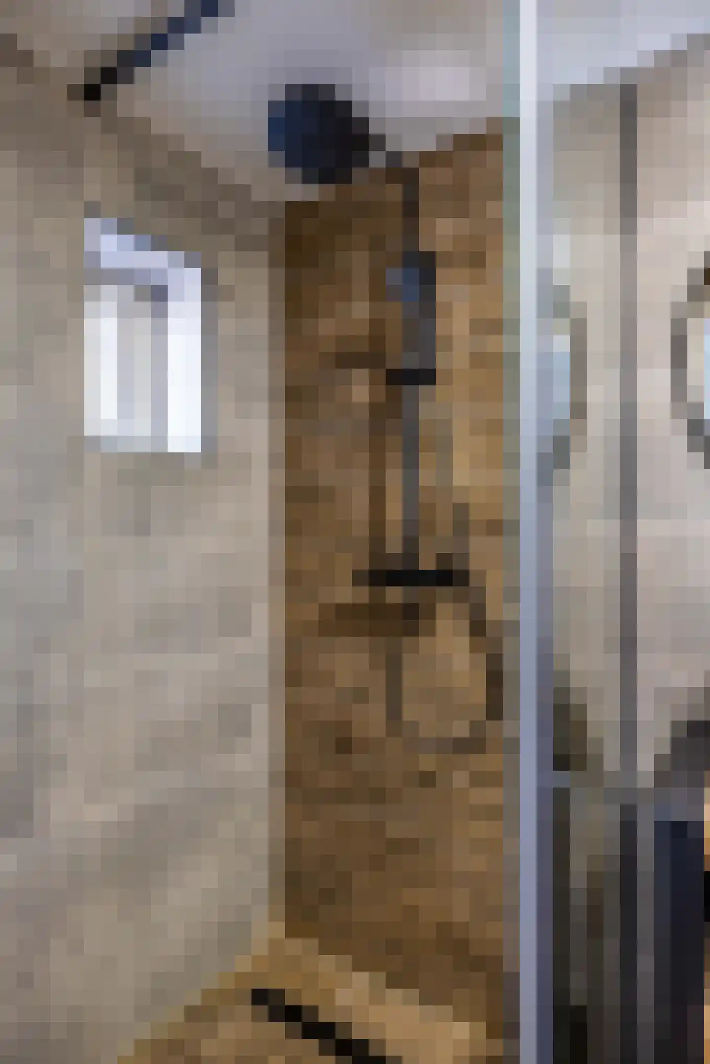 Buorren 70 Tzummarum thumbnail 25