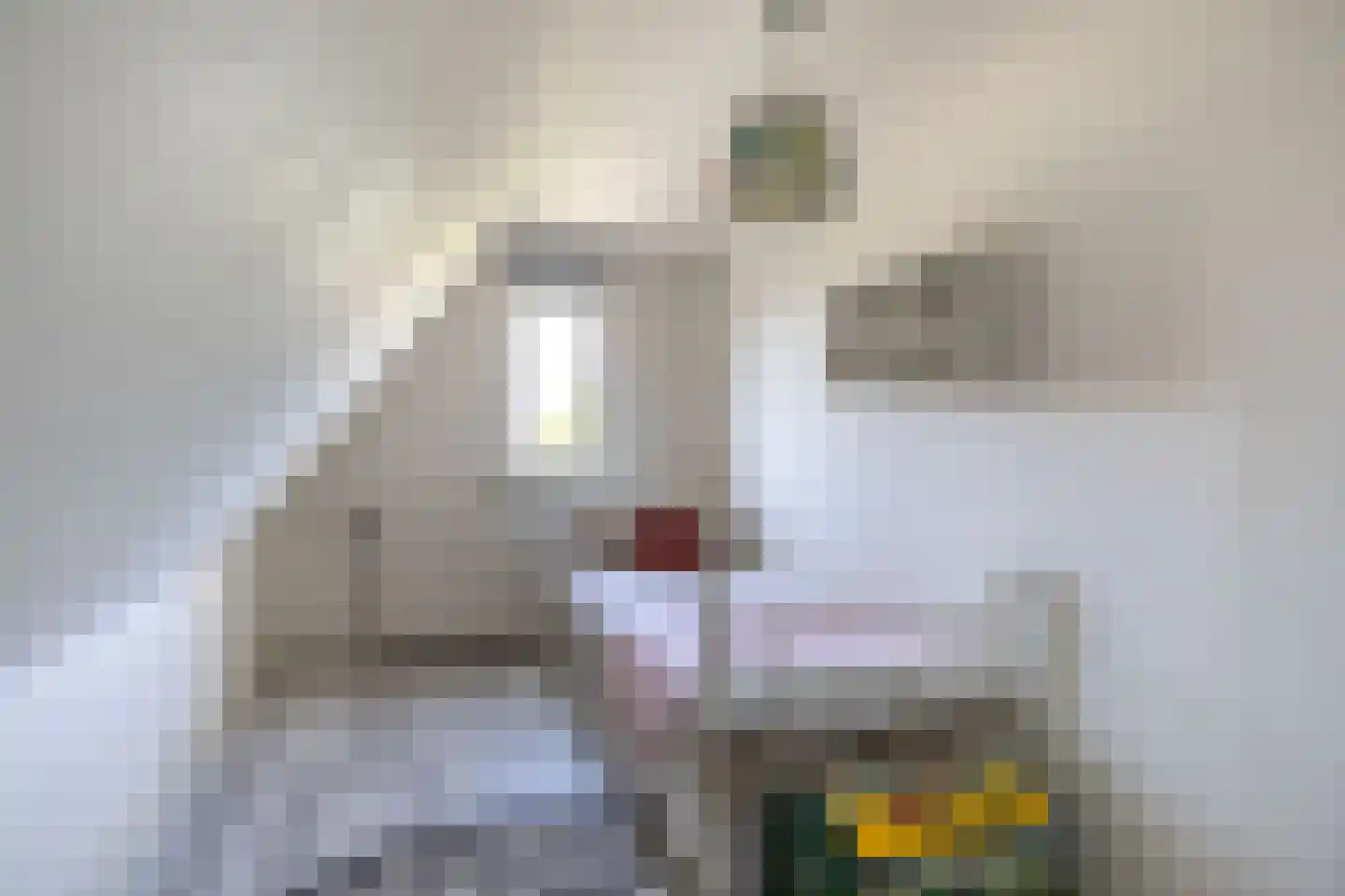 Buorren 70 Tzummarum thumbnail 33