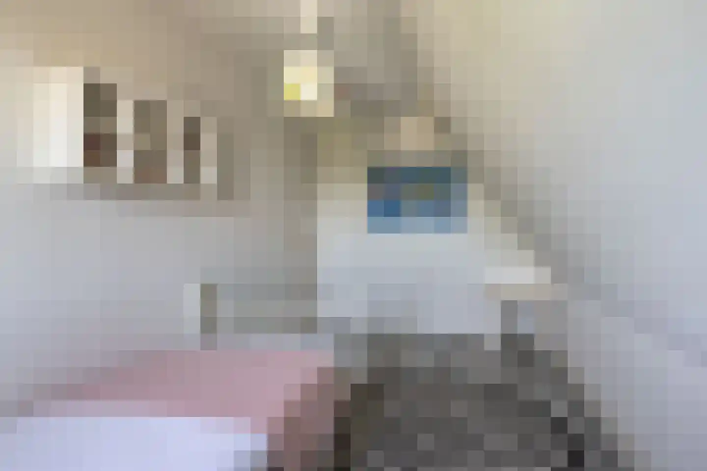 Buorren 70 Tzummarum thumbnail 34