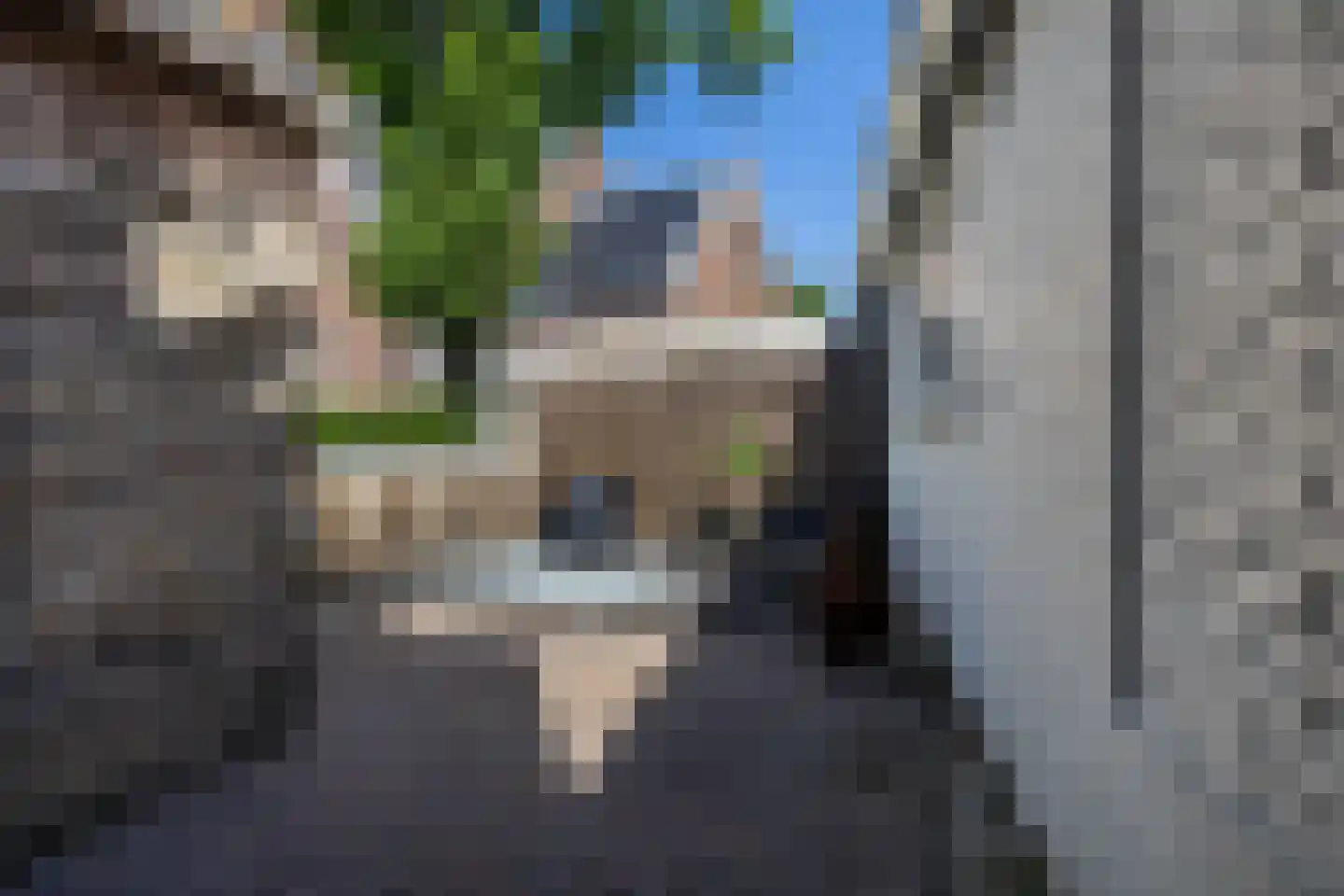 Buorren 70 Tzummarum thumbnail 38