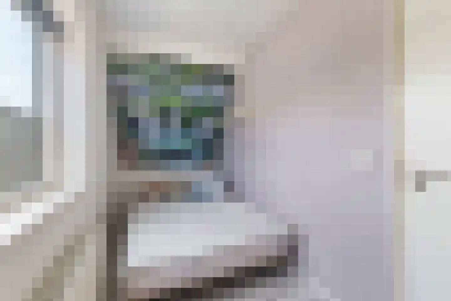Buorren 74 Berltsum thumbnail 10