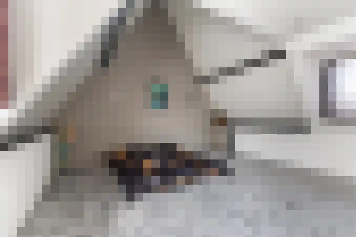 Buorren 74 Berltsum thumbnail 11