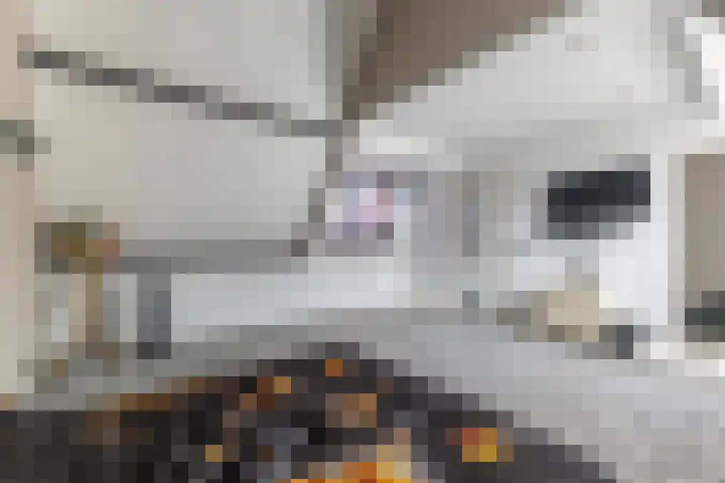 Buorren 74 Berltsum thumbnail 12