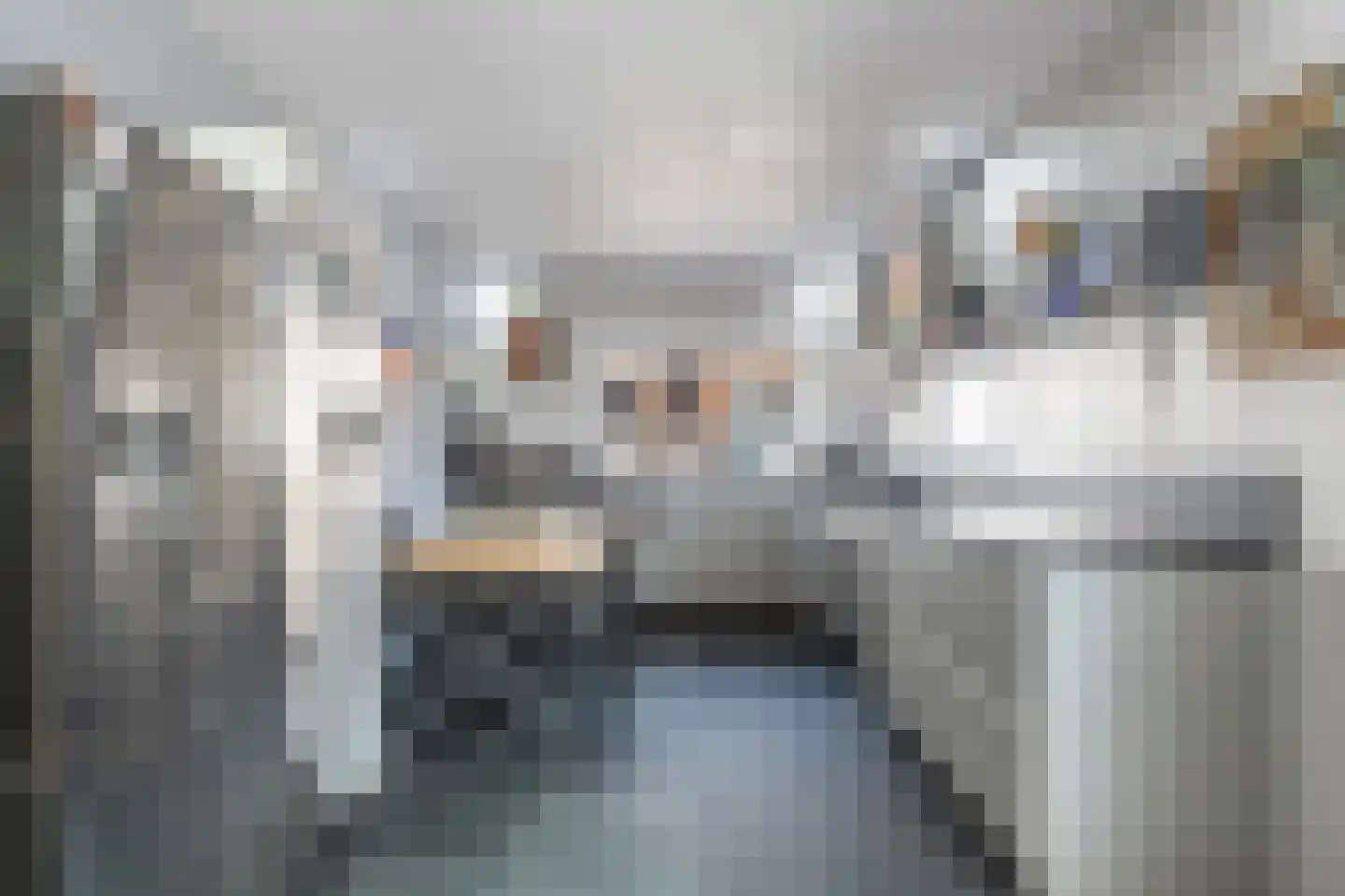 Buorren 74 Berltsum thumbnail 7