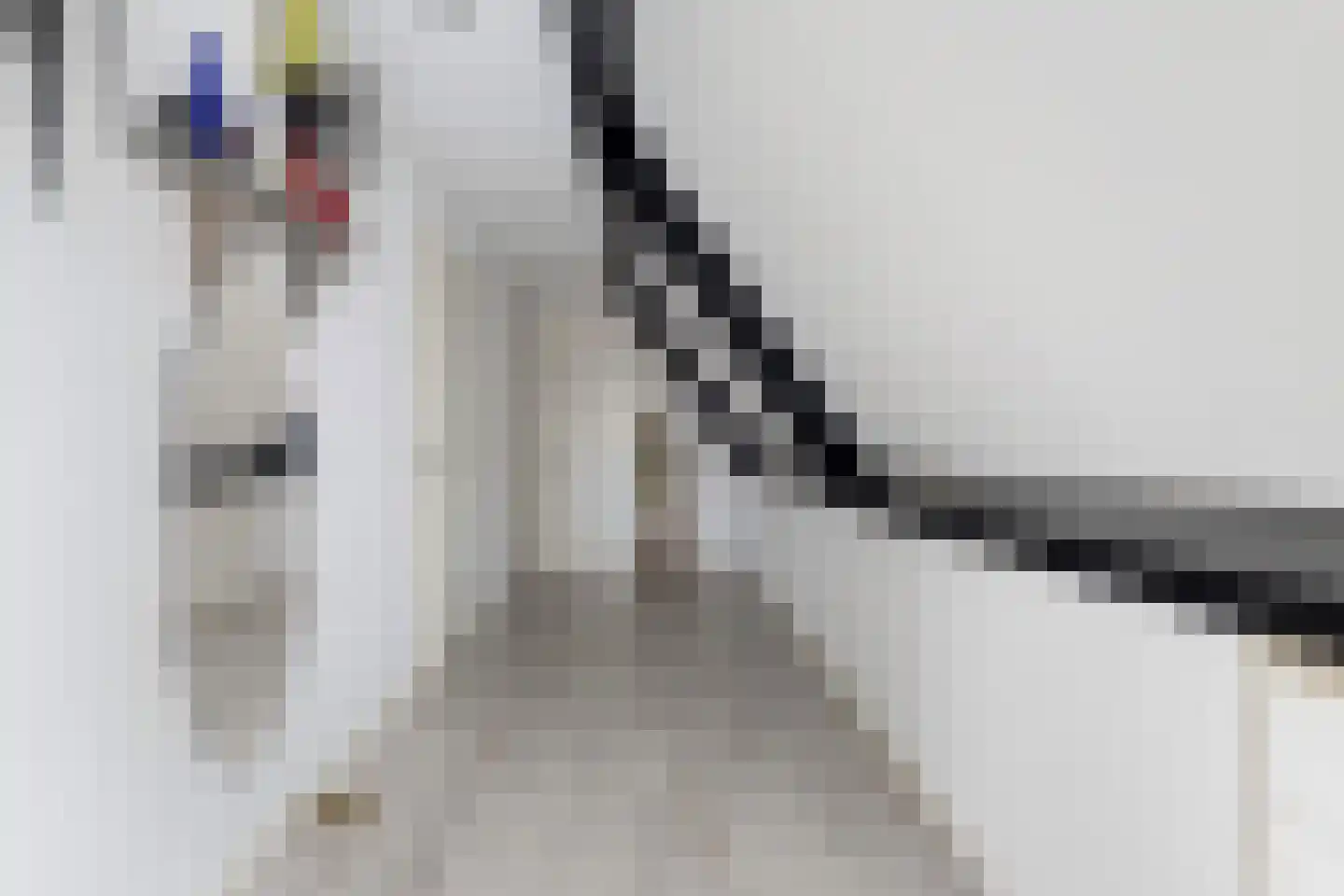 Buorren 74 Berltsum thumbnail 8