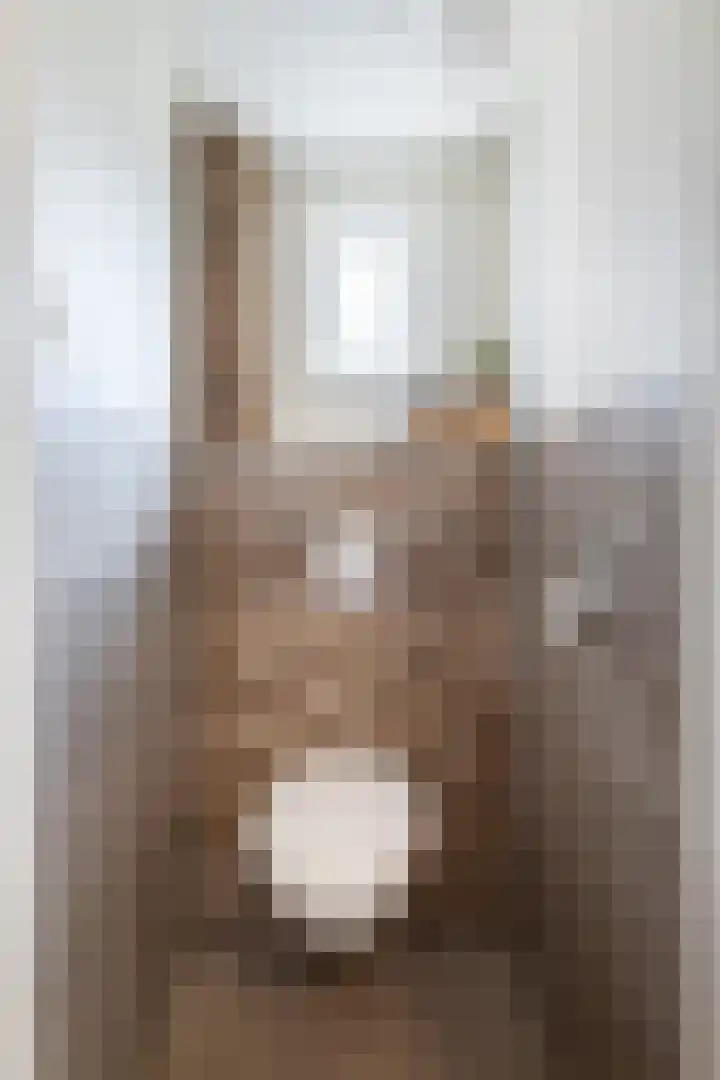 Buorren 74 Bitgum thumbnail 18